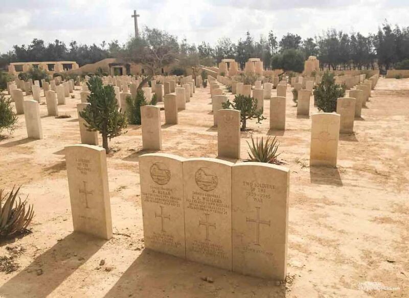 El-Alamein Day Tour From Cairo With Lunch - Key Points