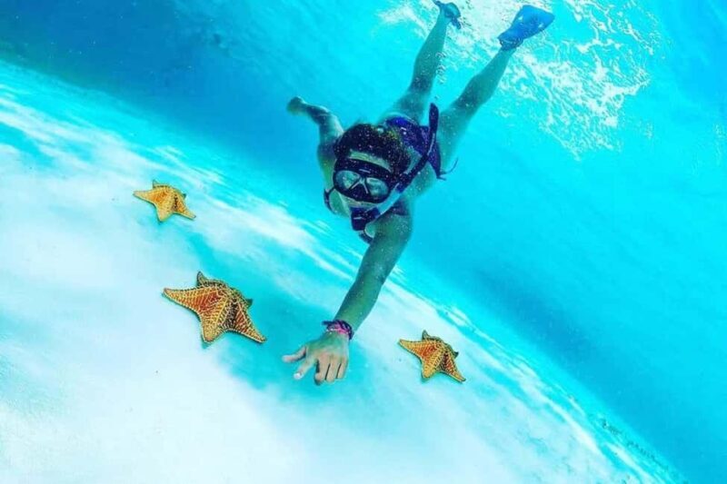 El Cielo and El Cielito in Cozumel with Beach Club, Food, and Open Bar - An In-Depth Look at the Tour Experience