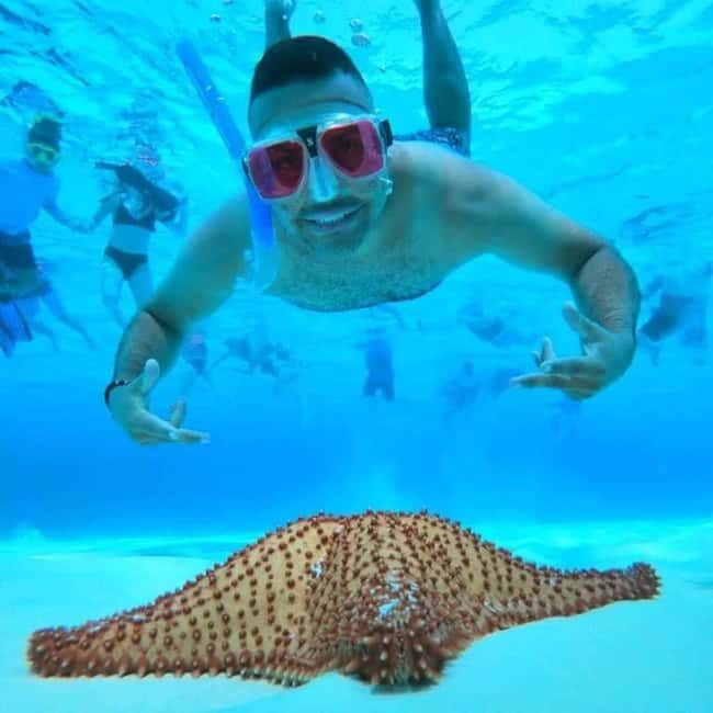 El Cielo and El Cielito in Cozumel with Beach Club, Food, and Open Bar - Who Will Love This Tour?
