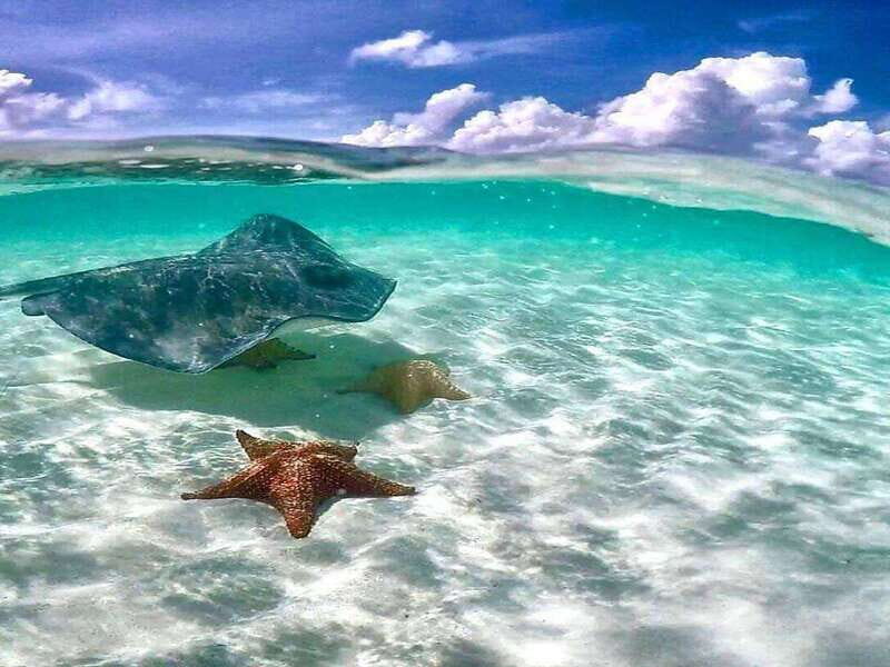 El Cielo and El Cielito in Cozumel with Beach Club, Food, and Open Bar - FAQ