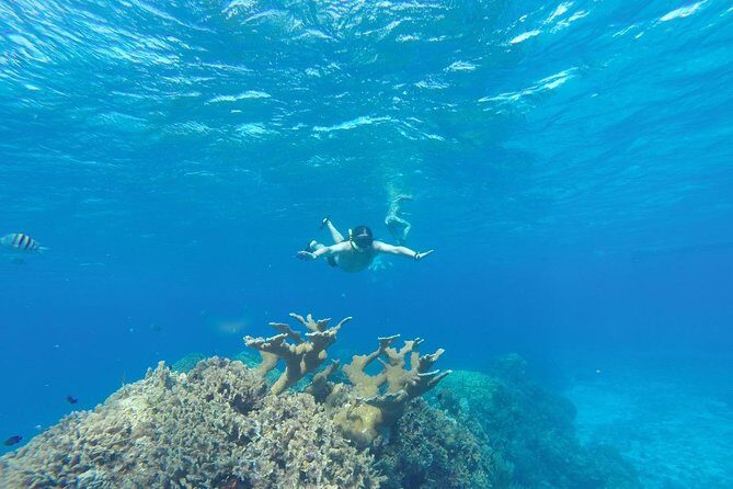 El Cielo and Snorkel Private Excursion - Who Should Consider This Tour?