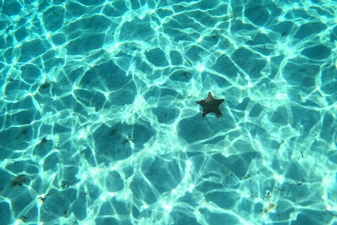 El Cielo and Snorkeling for Cruise Ship Passengers - Key Points
