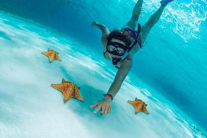 El Cielo Cozumel, a paradisiacal tour. Be amazed by the stars near to you. - An In-Depth Look at the El Cielo Cozumel Tour