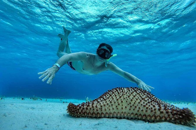 El Cielo Cozumel, a paradisiacal tour. Be amazed by the stars near to you. - FAQ