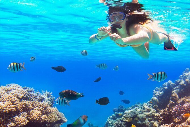 El cielo Cozumel From Cancún and round Transfer with Lunch - An In-Depth Look at the Tour