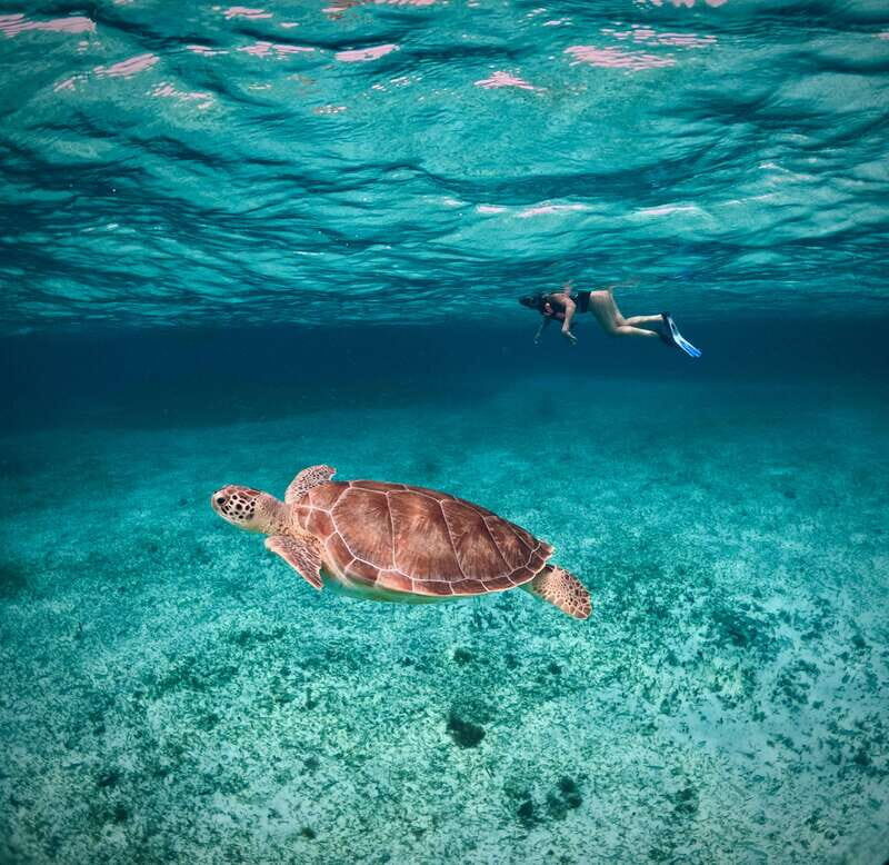 El Cielo Cozumel private snorkel tour - Why Choose This Tour?