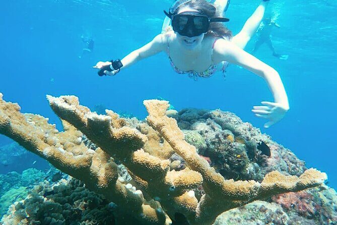 El Cielo Cozumel Snorkel Private Boat + Food + Drinks + Beach - An In-Depth Look at the Experience