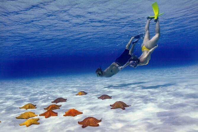 El Cielo Cozumel Snorkel Private Boat + Food + Drinks + Beach - The Sum Up: Is This Tour Worth It?