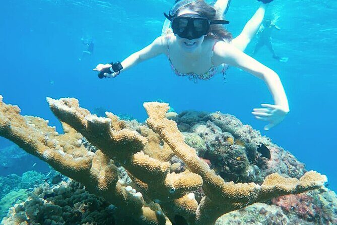 El Cielo Cozumel Snorkel Share Boat + Reefs + Food Drinks + Beach - FAQ