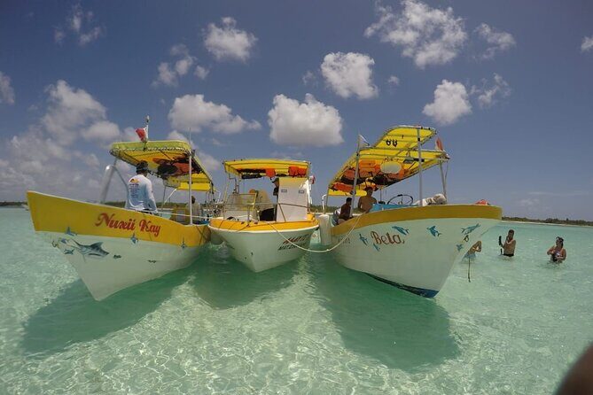 El Cielo Cozumel Snorkeling by Private Boat - Authentic Experiences and Real Reviews