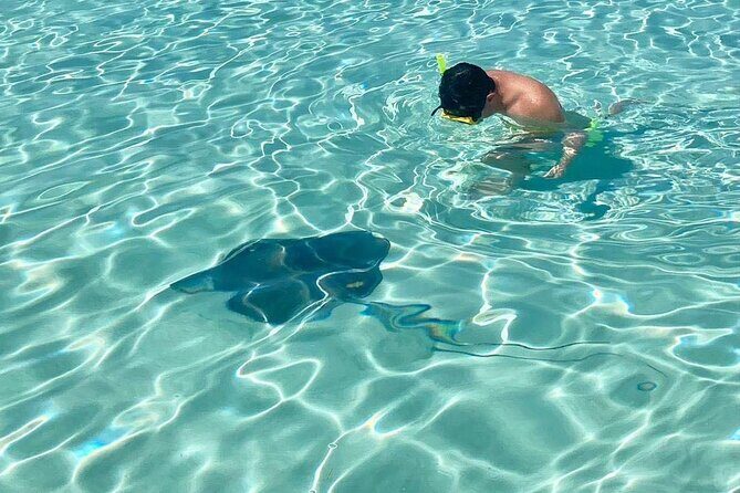 El Cielo Cozumel Snorkeling by Private Boat - Who Should Book This Tour?