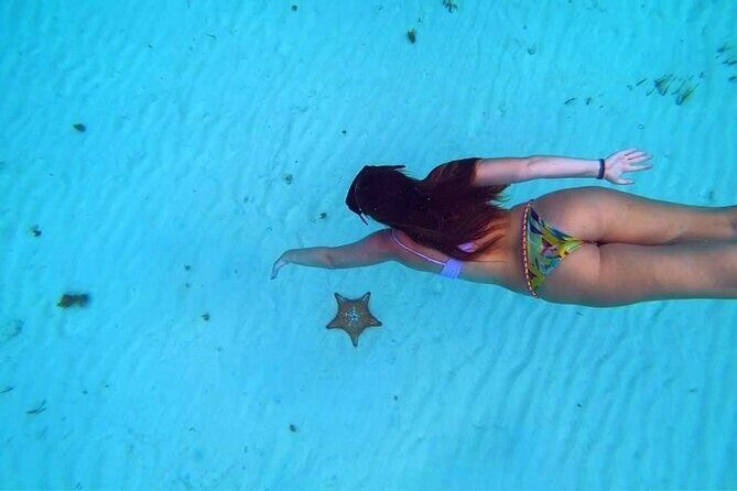 El Cielo Cozumel Snorkeling trip by Catamaran - What to Expect from the El Cielo Snorkeling Tour