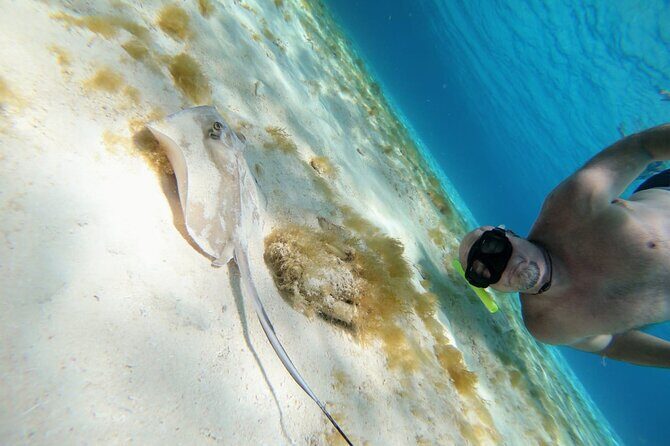 El Cielo Cozumel Snorkeling trip by Catamaran - FAQ