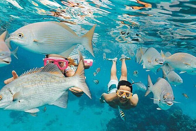 El Cielo Palancar and Columbia Snorkeling Tour - The Itinerary: What to Expect at Each Stop
