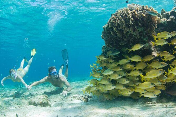El Cielo Palancar and Columbia Snorkeling Tour - Analyzing the Tour’s Value