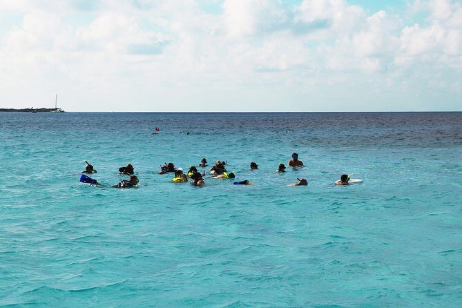 El Cielo Snorkel by Private Boat - Who Will Love This Tour?