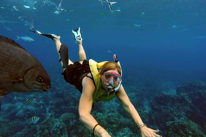 El Cielo Snorkel by Private Boat - The Sum Up