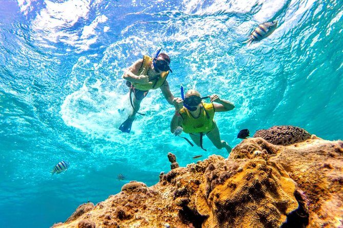 El Cielo Snorkel by Private Boat - FAQ