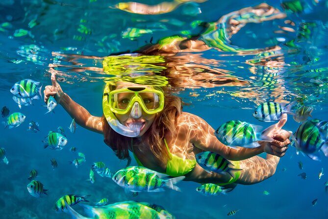 El Cielo Snorkeling Adventure in Cozumel - Key Points