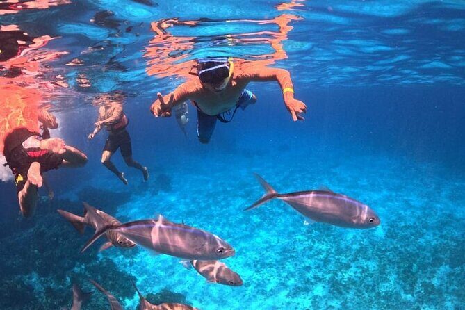 El Cielo Snorkeling Adventure in Cozumel - Final Thoughts