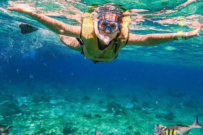 El Cielo Snorkeling Adventure in Cozumel - FAQ