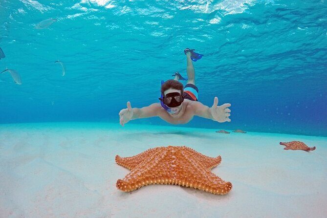 El Cielo the Breathtaking Snorkel Tour of Cozumel Cielito Beach & Lunch Included - Authentic Insights from Past Travelers