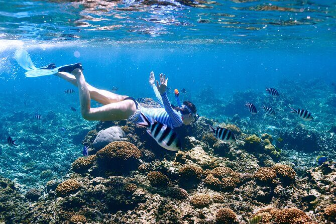 El Cielo the Breathtaking Snorkel Tour of Cozumel Cielito Beach & Lunch Included - FAQs