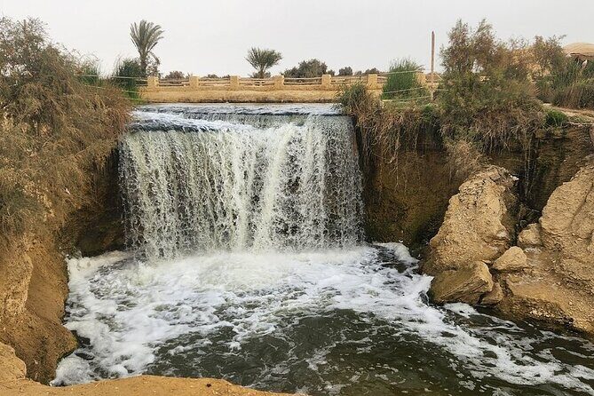 El Fayoum Oasis and Wadi Rayan Waterfall Private Tour from Cairo - What This Tour Means for Travelers