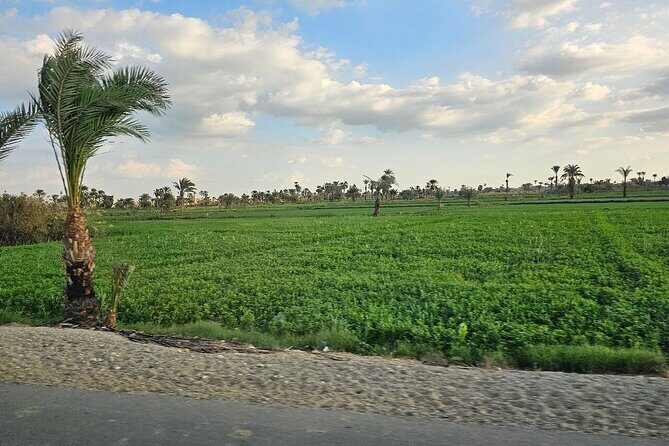El Fayoum Oasis and Wadi Rayan Waterfall Private Tour from Cairo - FAQs