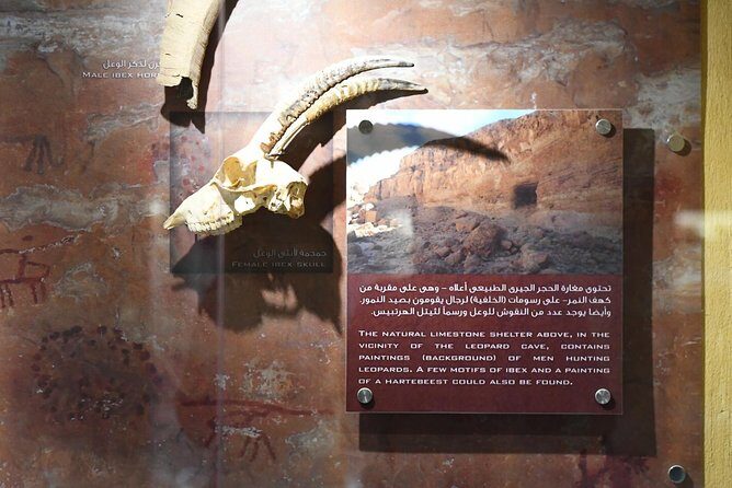 El Fayoum, Wadi El-Hitan & Wadi El-Rayan Day Trip from Cairo - An In-Depth Look at the Tour Experience