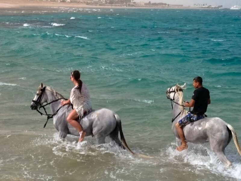 El Gouna: Desert & Sea Horse Riding With Swimming Optional - An In-Depth Look at the Horseback Experience in El Gouna
