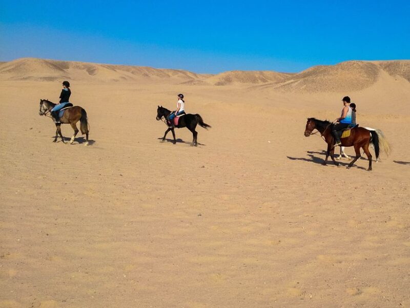 El Gouna: Desert & Sea Horse Riding With Swimming Optional - The Sum Up
