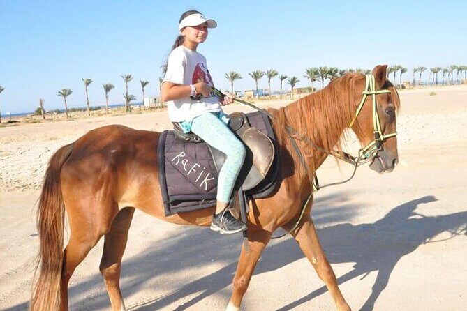 El Gouna Horse Ride Tour - A Closer Look at the El Gouna Horse Ride Tour