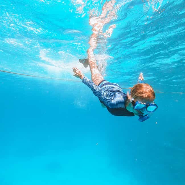 El Gouna: Red Sea Snorkeling Adventure with Transfers - El Gouna: Red Sea Snorkeling Adventure with Transfers — A Practical Guide for Curious Travelers