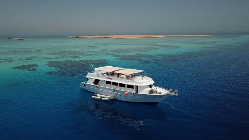 El Gouna: Red Sea Snorkeling Adventure with Transfers - Final Words