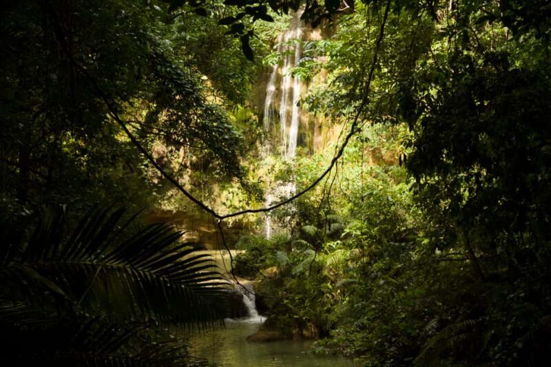 El Limón: Waterfall Hiking Tour with Lunch - Authenticity and Traveler Feedback
