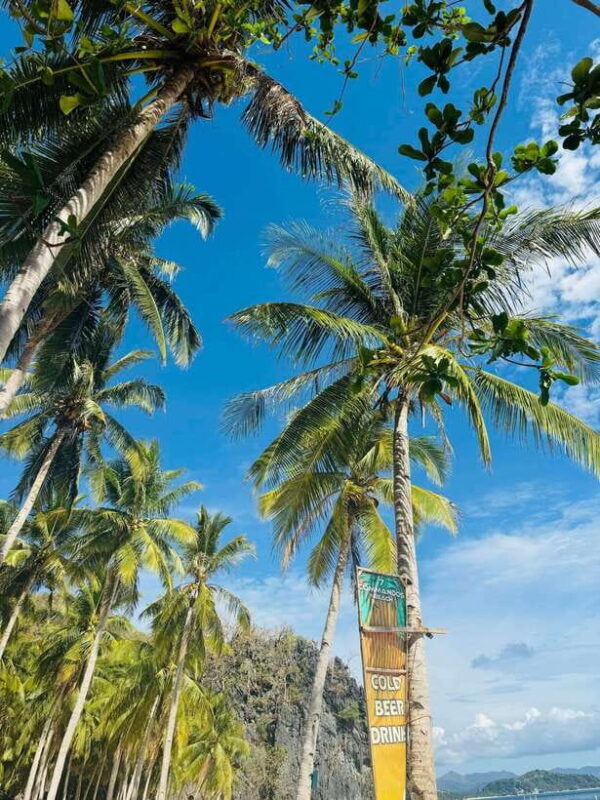 El Nido: Island Hopping TOUR A with Lunch, Transfer & EDTF - The Experience Provider: What You Can Expect