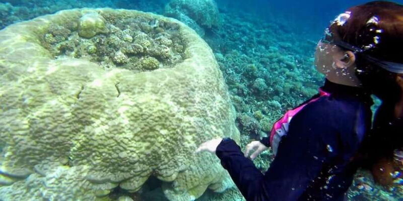 El Nido: Island Hopping Tour B Cudognong Cave & More - Analyzing the Value