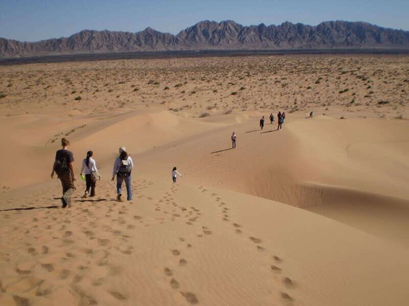 El pinacate: 4-day tour of the craters and Altar desert - Discovering Baja’s Natural Wonders