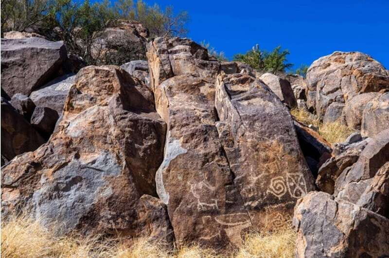 El pinacate: 4-day tour of the craters and Altar desert - Transportation and Group Experience