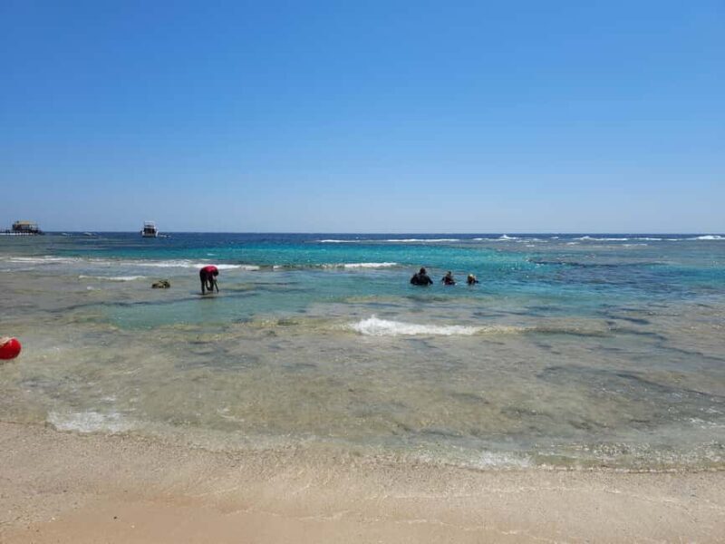 El Quseir: Red Sea Diving - Reefs, Caves & Marine Wildlife - Key Points