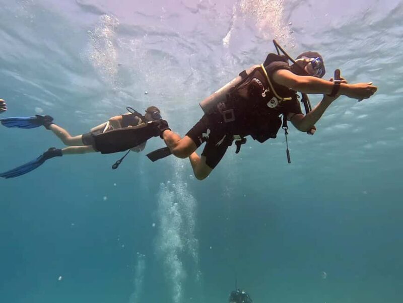 El Quseir: Red Sea Diving - Reefs, Caves & Marine Wildlife - The Experience of the Guides and Group Dynamics