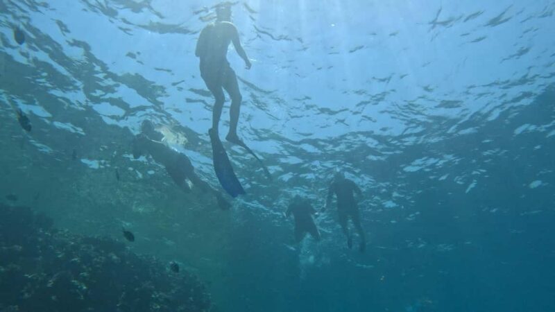 El Quseir: Red Sea Diving - Reefs, Caves & Marine Wildlife - The Sum Up