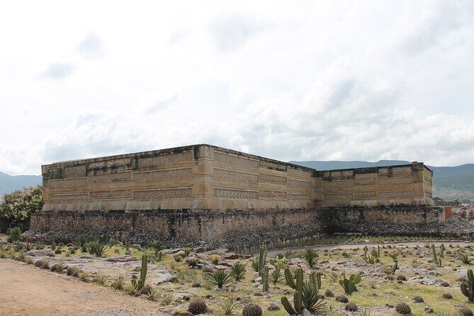 El Tule, Teotitlán, Mitla, Hierve el Agua and Mezcal Factory - Practical Details and What to Expect