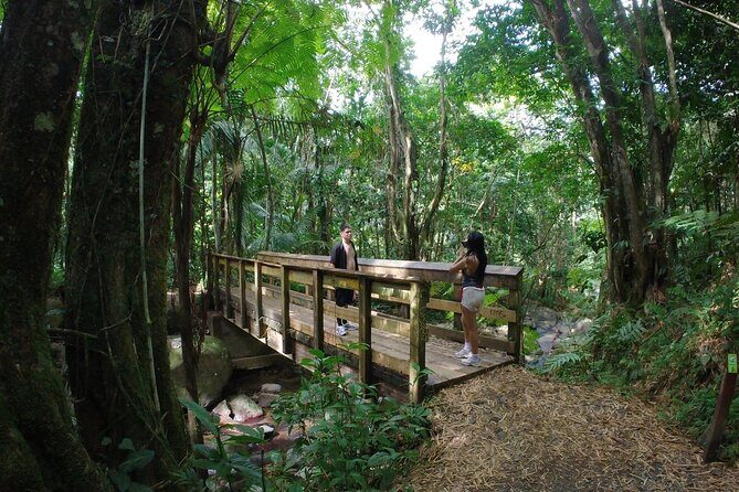 El Yunque Beach Jetski + Rainforest Hike Adventure Tour - An Adventure That Combines Water, Forest, and Flavors