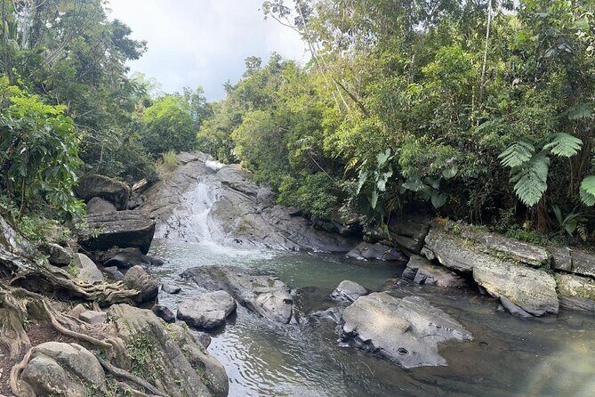 El Yunque & Beach Tour: Waterslide, Waterfall, Food, & Photos - A Deep Dive into the El Yunque & Beach Experience