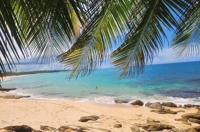 El Yunque & Beach Tour: Waterslide, Waterfall, Food, & Photos - Final Thoughts