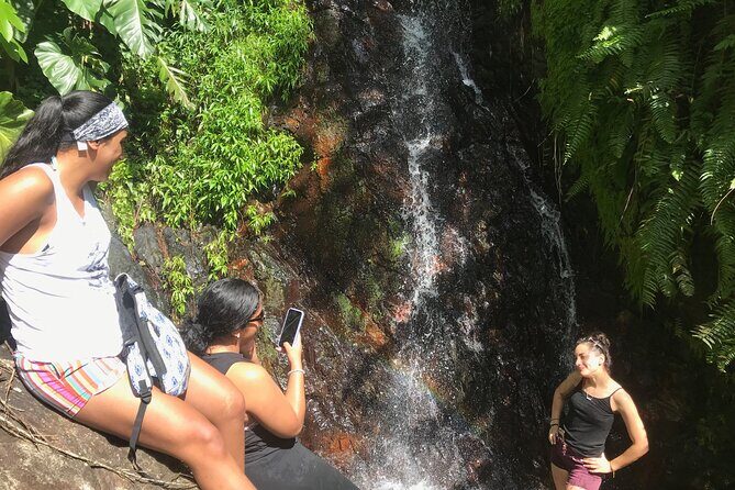 El Yunque Hike Adventure to Las Tinajas Waterfall from Fajardo - An In-Depth Look at the El Yunque Hike Adventure