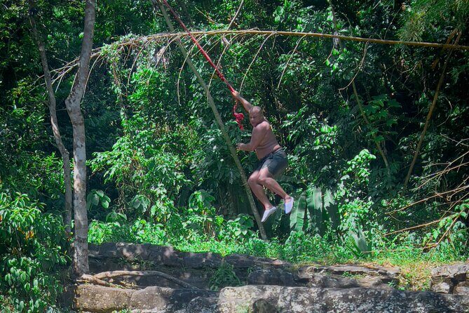 El Yunque Hike, Waterslide & Luquillo Kiosks Food with Transport - What Makes This Tour Stand Out