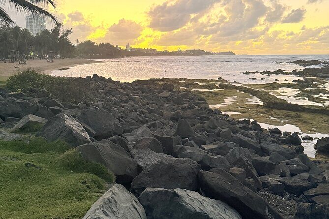 El Yunque Hike, Waterslide & Luquillo Kiosks Food with Transport - Is It Worth the Price?